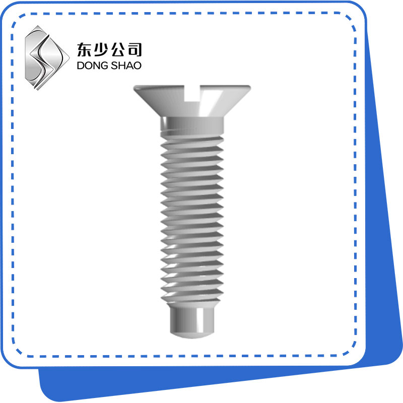 Slotted Countersunk Head Izikrufu kunye Full Dog Point